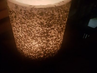 20170523_174850